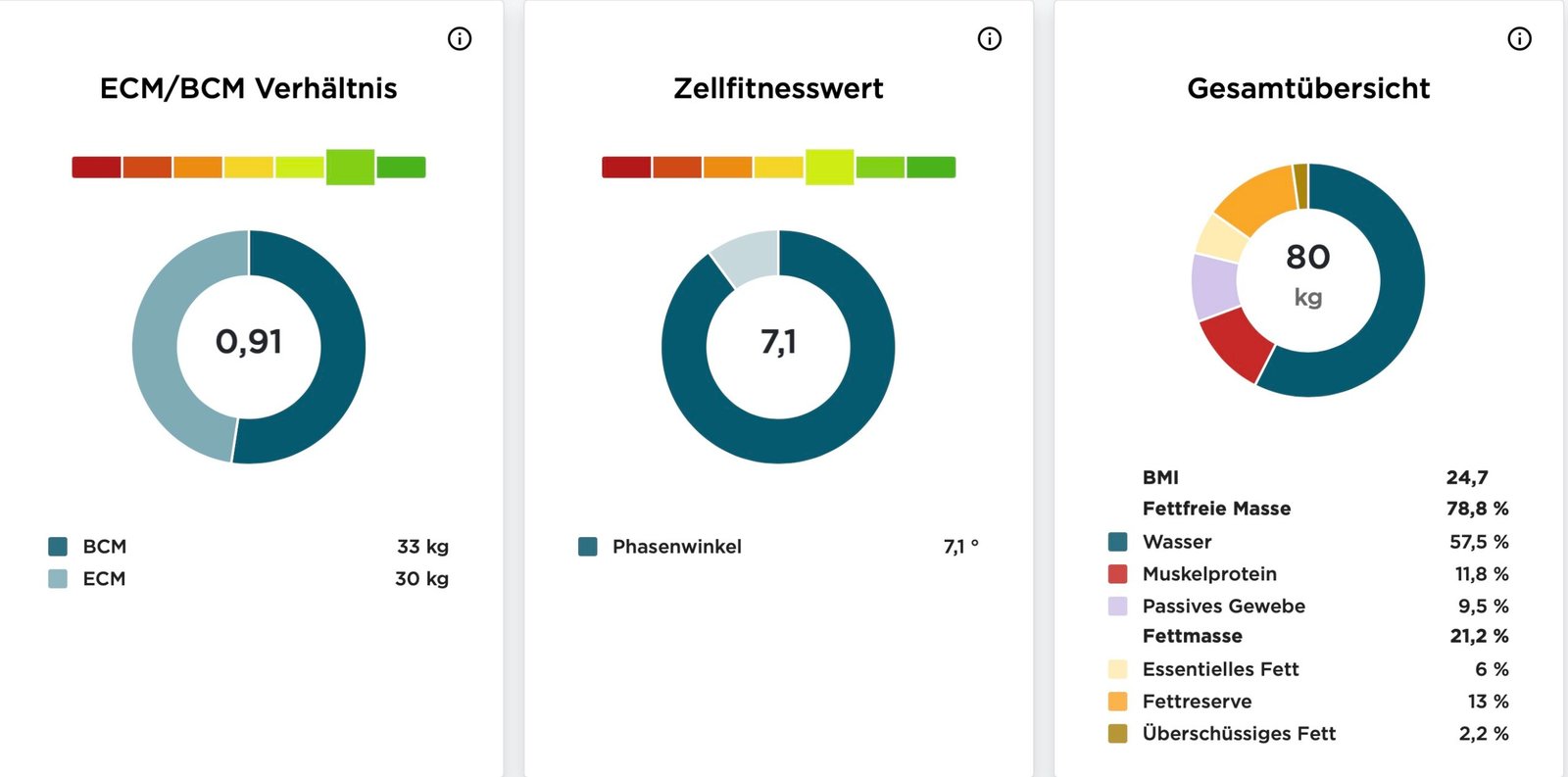 BIA-Auswertung mit ECM-BCM-Verhältnis, Zellfitnesswert und Gesamtübersicht